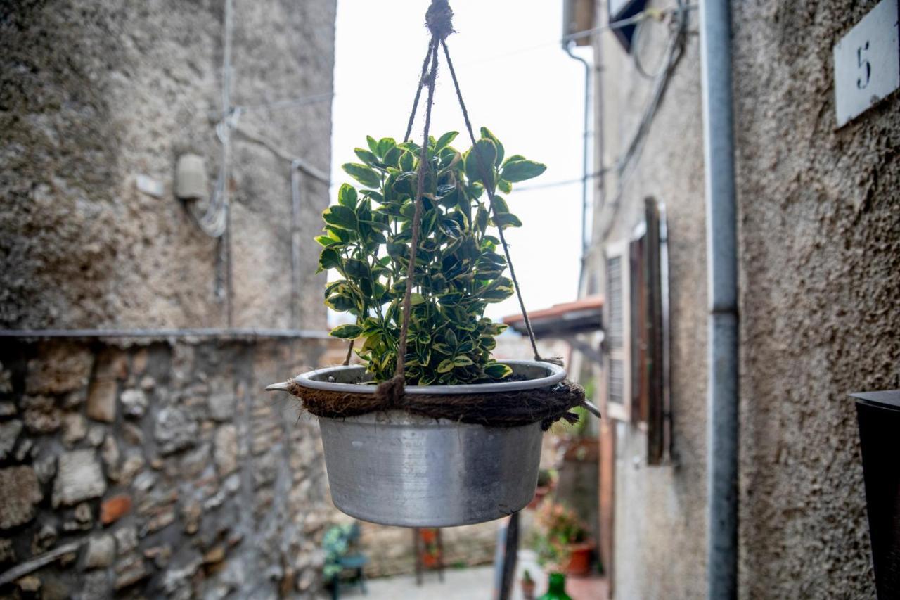 Hotel Dimora Turistica De' Piazza Roccalvecce Exterior foto